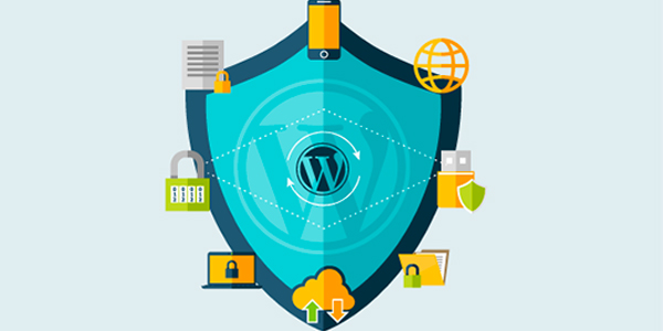 WP Security precautions precautions