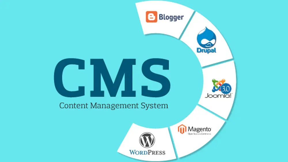 Content Management System