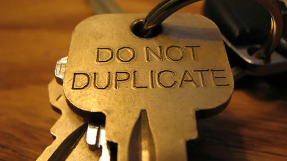 importance of canonical tag