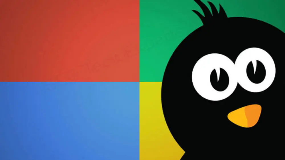 Google penguin update