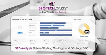 SEO Analysis Before Starting On-Page and Off-Page SEO