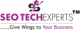 SEO Tech Experts-Best SEO Companies in Delhi
