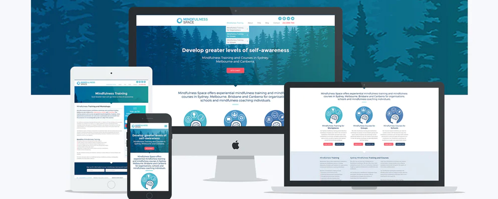 Website Designing For Ecommerce eCommerce website designing